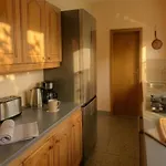 Novi Ii *